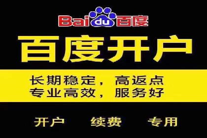 SEM服务优势案例分享