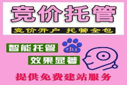 优化策略，SEM托管案例深度剖析